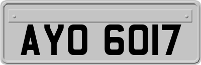 AYO6017