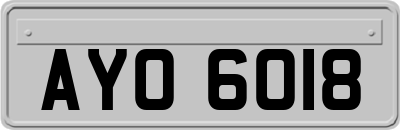 AYO6018