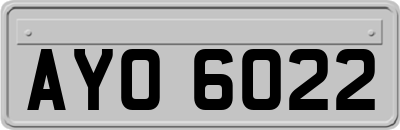 AYO6022