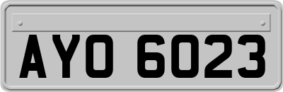 AYO6023