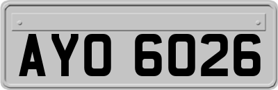 AYO6026