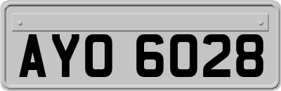AYO6028