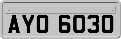 AYO6030