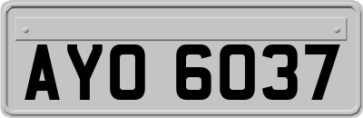 AYO6037