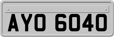 AYO6040