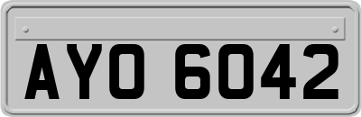 AYO6042