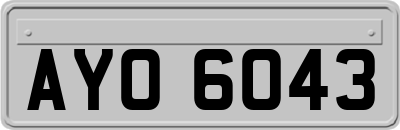 AYO6043