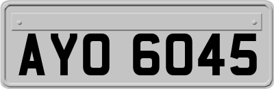 AYO6045
