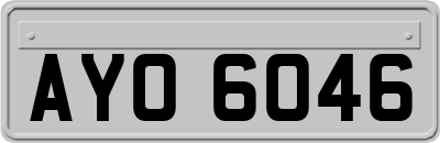 AYO6046