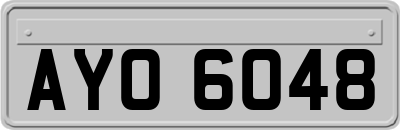 AYO6048
