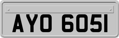 AYO6051