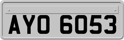 AYO6053