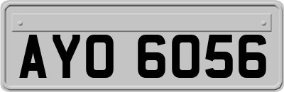 AYO6056
