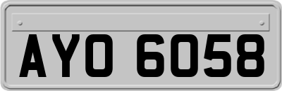 AYO6058