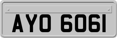 AYO6061
