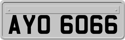 AYO6066