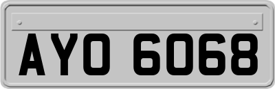 AYO6068