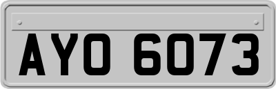 AYO6073