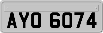 AYO6074
