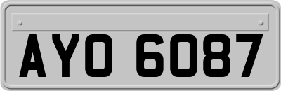 AYO6087