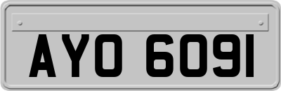 AYO6091