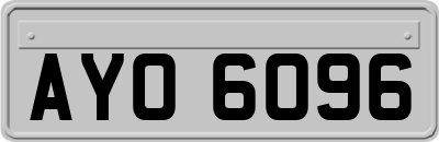 AYO6096