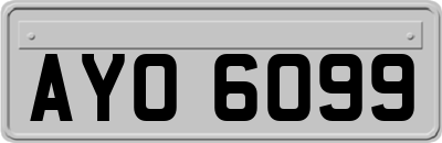 AYO6099