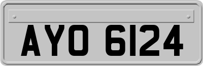 AYO6124