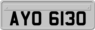 AYO6130