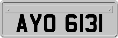 AYO6131