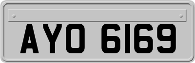 AYO6169