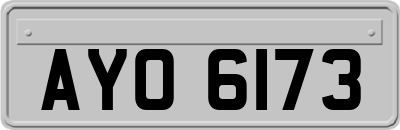 AYO6173