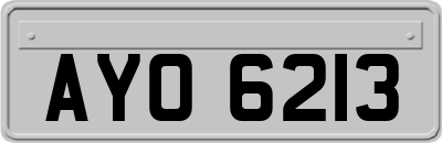 AYO6213