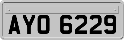 AYO6229