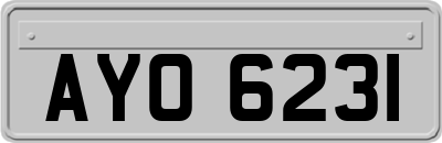 AYO6231