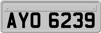 AYO6239