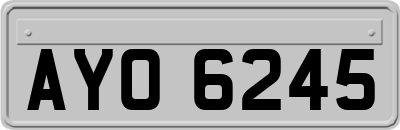 AYO6245