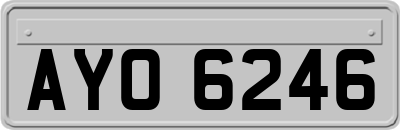 AYO6246