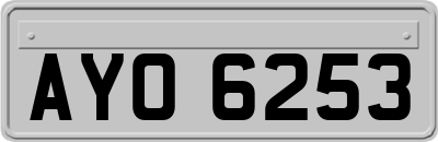 AYO6253