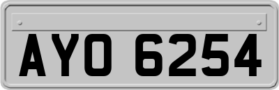 AYO6254
