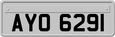 AYO6291