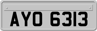 AYO6313