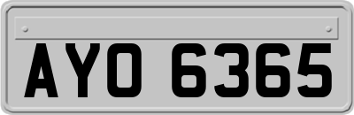 AYO6365