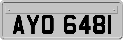 AYO6481