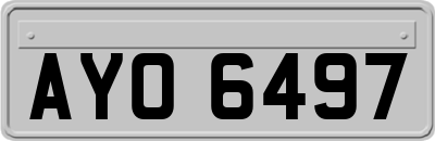 AYO6497