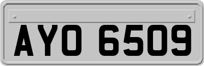 AYO6509