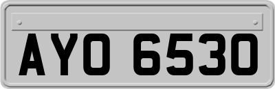 AYO6530