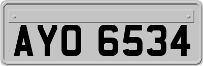 AYO6534