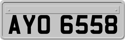 AYO6558