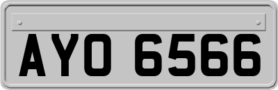 AYO6566